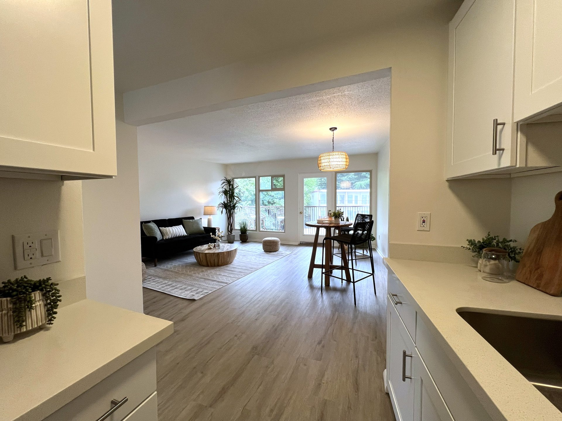 Open living and kitchen